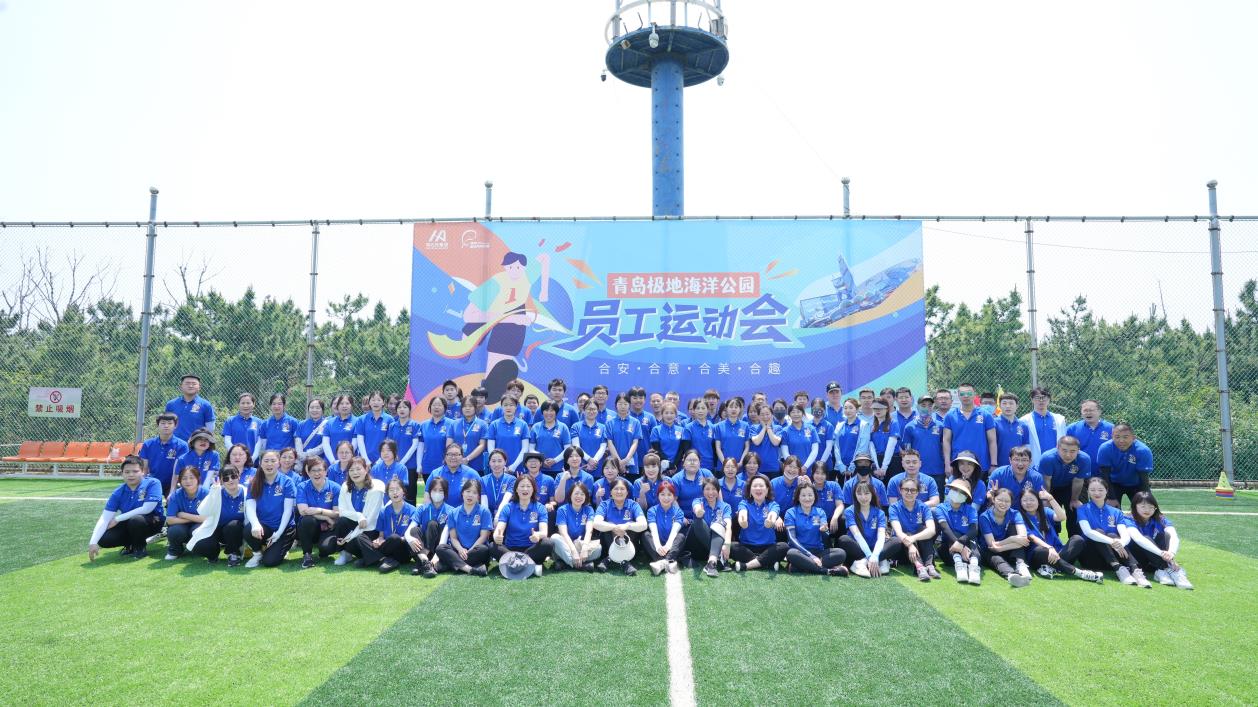 青島拓展|青島拓展訓練|定制化團隊建設服務-青島眾行遠管理咨詢